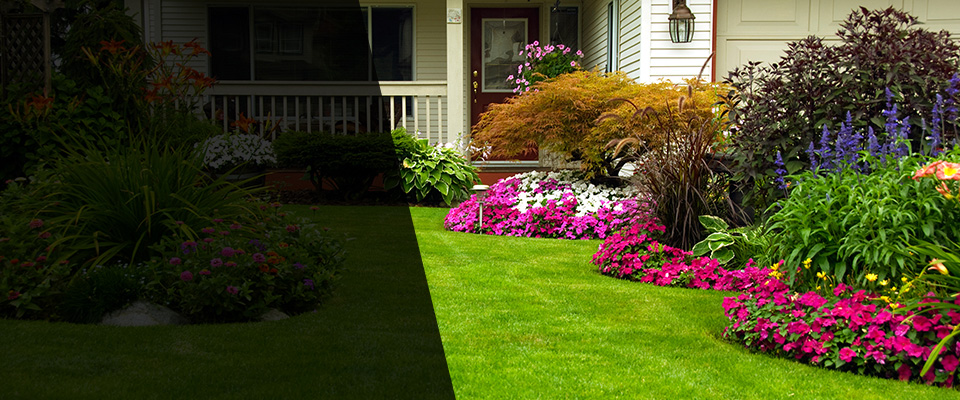 Cadiz Landscapers
