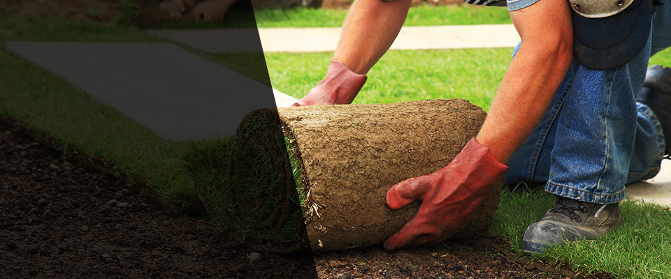 Cadiz Landscapers